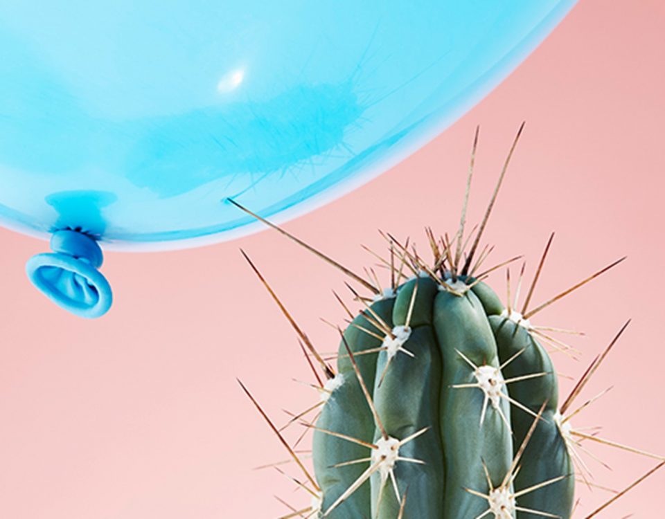 Close up image of a balloon and a cactus